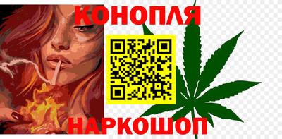 дмт Аргун