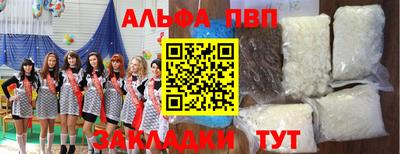 дмт Аргун