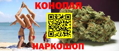 прущие грибы Малгобек