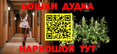 дмт Аргун