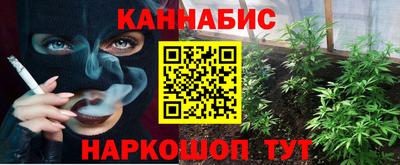 дмт Аргун