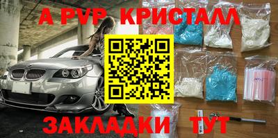 дмт Аргун